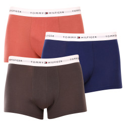 3PACK Vyriški boksininko šortai Tommy Hilfiger daugiaspalviai (UM0UM02761 0TF)