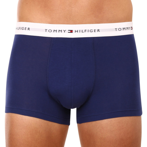 3PACK Vyriški boksininko šortai Tommy Hilfiger daugiaspalviai (UM0UM02761 0TF)