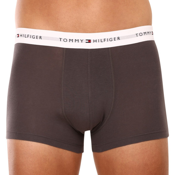 3PACK Vyriški boksininko šortai Tommy Hilfiger daugiaspalviai (UM0UM02761 0TF)