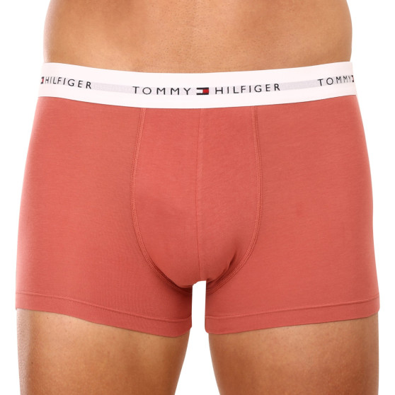 3PACK Vyriški boksininko šortai Tommy Hilfiger daugiaspalviai (UM0UM02761 0TF)