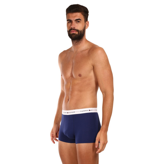 3PACK Vyriški boksininko šortai Tommy Hilfiger daugiaspalviai (UM0UM02761 0TF)