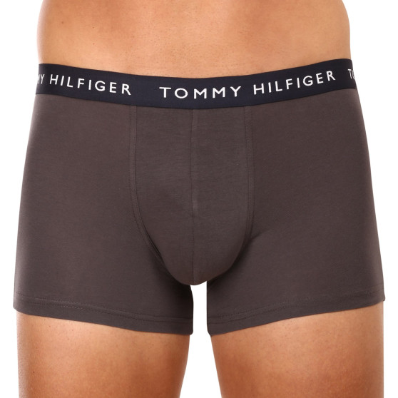 3PACK Vyriški boksininko šortai Tommy Hilfiger daugiaspalviai (UM0UM02203 0XX)