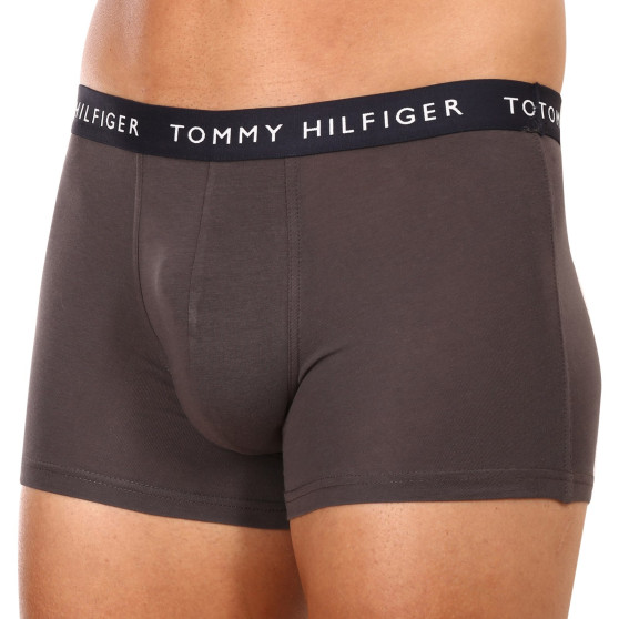 3PACK Vyriški boksininko šortai Tommy Hilfiger daugiaspalviai (UM0UM02203 0XX)