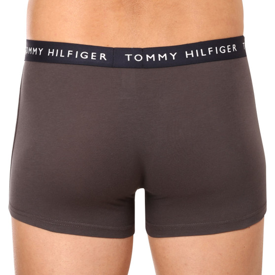 3PACK Vyriški boksininko šortai Tommy Hilfiger daugiaspalviai (UM0UM02203 0XX)