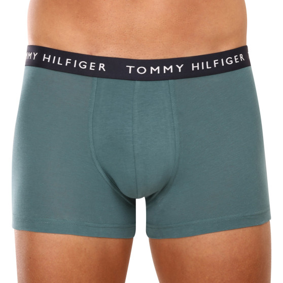 3PACK Vyriški boksininko šortai Tommy Hilfiger daugiaspalviai (UM0UM02203 0XX)