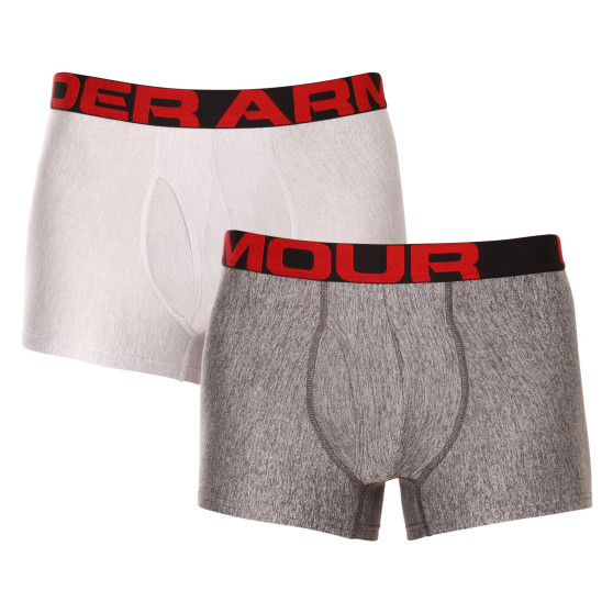 2PACK Vyriški boksininkų šortai Under Armour pilka (1363618 011)