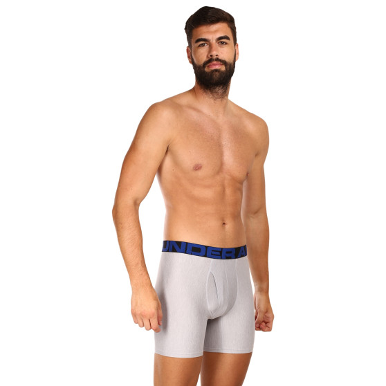 2PACK Vyriški boksininko šortai Under Armour daugiaspalviai (1363619 408)