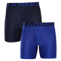 2PACK Vyriški boksininko šortai Under Armour oversized blue (1363619 400)