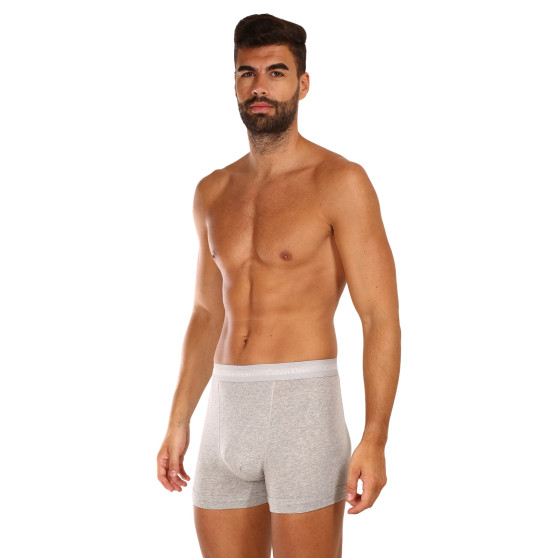 3PACK Vyriški boksininkų šortai Calvin Klein pilka (U2662G-080)