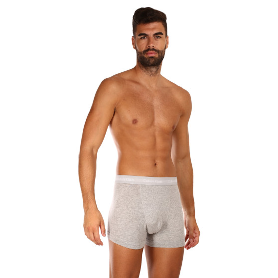 3PACK Vyriški boksininkų šortai Calvin Klein pilka (U2662G-080)