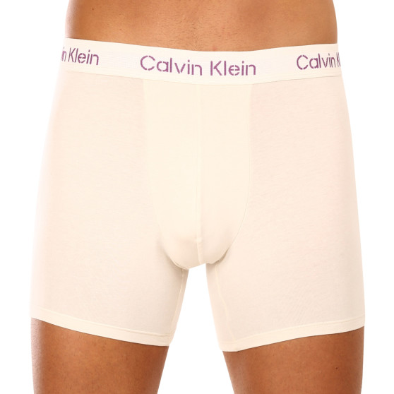 3PACK Vyriški boksininko šortai Calvin Klein daugiaspalviai (NB3706A-FZ4)