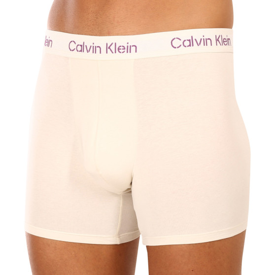 3PACK Vyriški boksininko šortai Calvin Klein daugiaspalviai (NB3706A-FZ4)