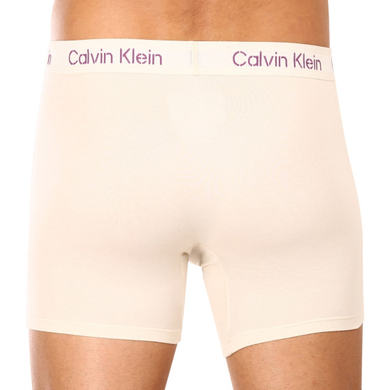 3PACK Vyriški boksininko šortai Calvin Klein daugiaspalviai (NB3706A-FZ4)