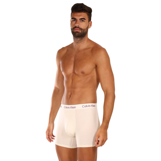 3PACK Vyriški boksininko šortai Calvin Klein daugiaspalviai (NB3706A-FZ4)