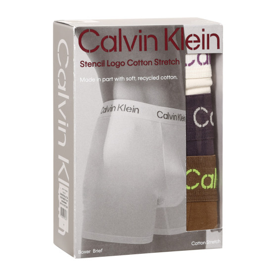 3PACK Vyriški boksininko šortai Calvin Klein daugiaspalviai (NB3706A-FZ4)