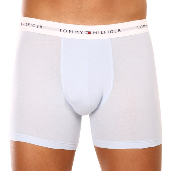 3PACK Vyriški boksininko šortai Tommy Hilfiger daugiaspalviai (UM0UM02941 0W8)