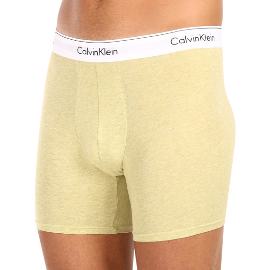 3PACK Vyriški boksininko šortai Calvin Klein daugiaspalviai (NB2381A-GW2)