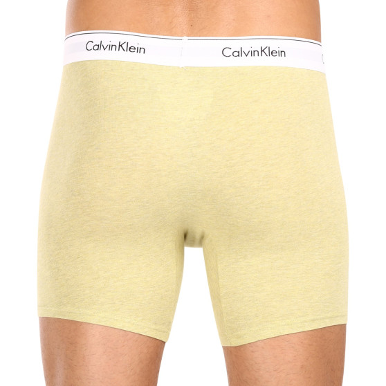 3PACK Vyriški boksininko šortai Calvin Klein daugiaspalviai (NB2381A-GW2)