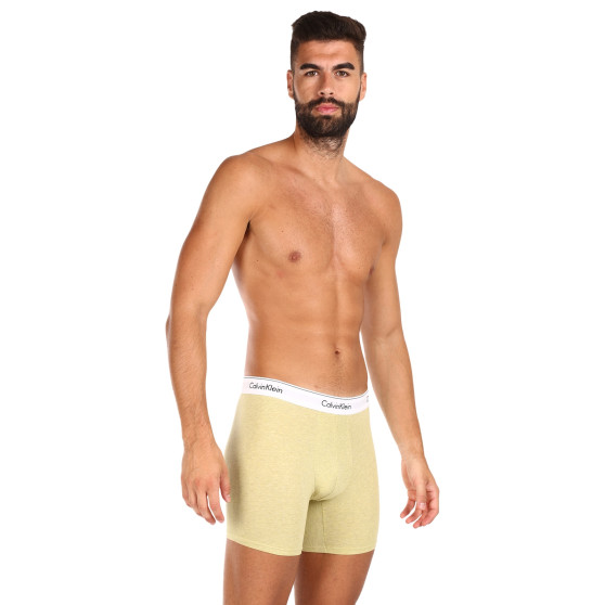 3PACK Vyriški boksininko šortai Calvin Klein daugiaspalviai (NB2381A-GW2)