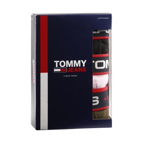 3PACK Vyriški boksininko šortai Tommy Hilfiger daugiaspalviai (UM0UM02968 0R9)