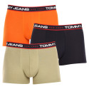 3PACK Vyriški boksininko šortai Tommy Hilfiger daugiaspalviai (UM0UM02968 0SP)