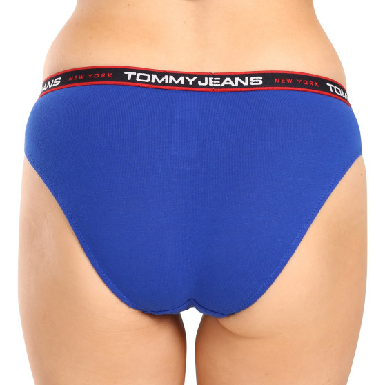 3PACK Moteriškos kelnaitės Tommy Hilfiger multicolour (UW0UW04710 0SQ)