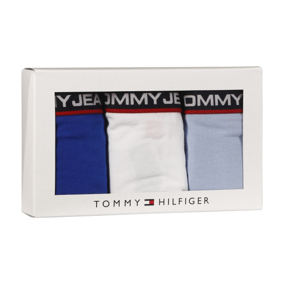 3PACK Moteriškos kelnaitės Tommy Hilfiger multicolour (UW0UW04710 0SQ)