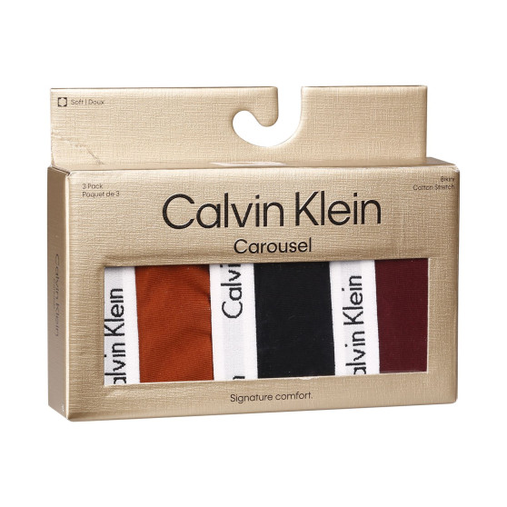 3PACK Moteriškos kelnaitės Calvin Klein multicolour (QD5146E-HVT)