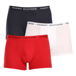 3PACK Vyriški boksininko šortai Tommy Hilfiger daugiaspalviai (UM0UM02203 0WS)