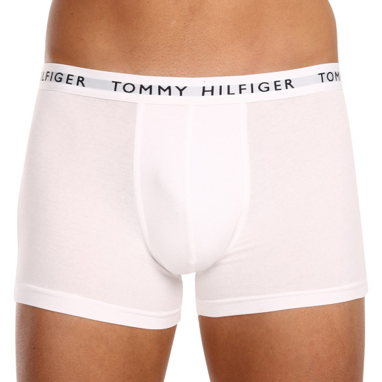 3PACK Vyriški boksininko šortai Tommy Hilfiger daugiaspalviai (UM0UM02203 0WS)