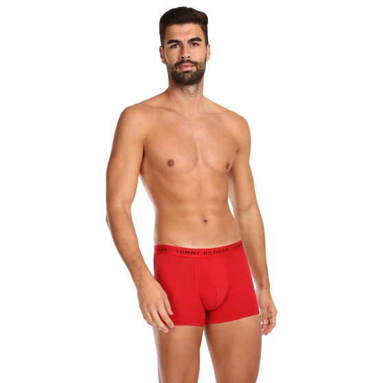 3PACK Vyriški boksininko šortai Tommy Hilfiger daugiaspalviai (UM0UM02203 0WS)