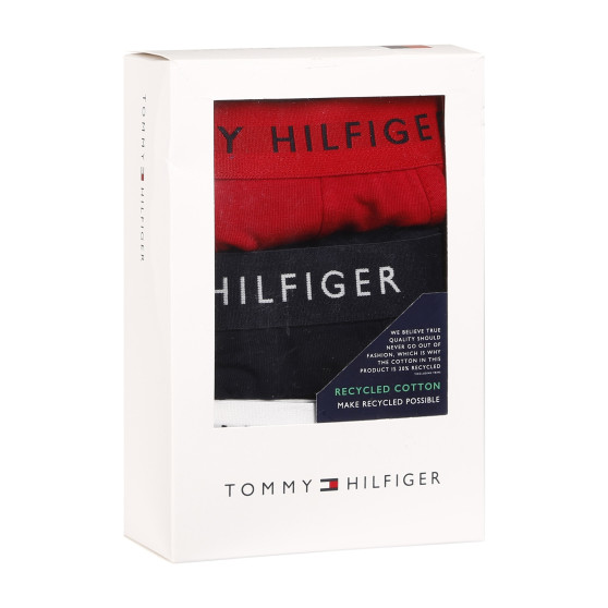 3PACK Vyriški boksininko šortai Tommy Hilfiger daugiaspalviai (UM0UM02203 0WS)