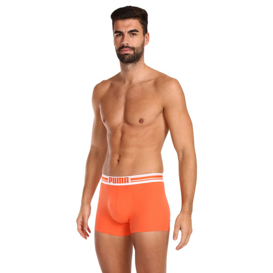 2PACK Vyriški boksininko šortai Puma daugiaspalviai (651003001 034)