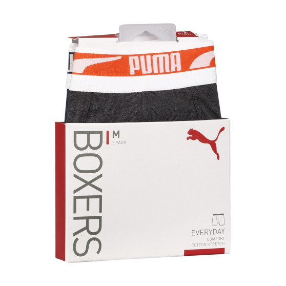 2PACK Vyriški boksininko šortai Puma daugiaspalviai (701221416 007)