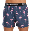 Vyriški šortai Horsefeathers Frazier Flamingos (AM166J)