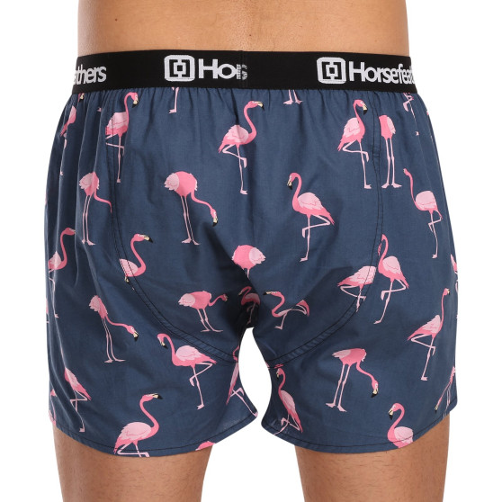 Vyriški šortai Horsefeathers Frazier Flamingos (AM166J)