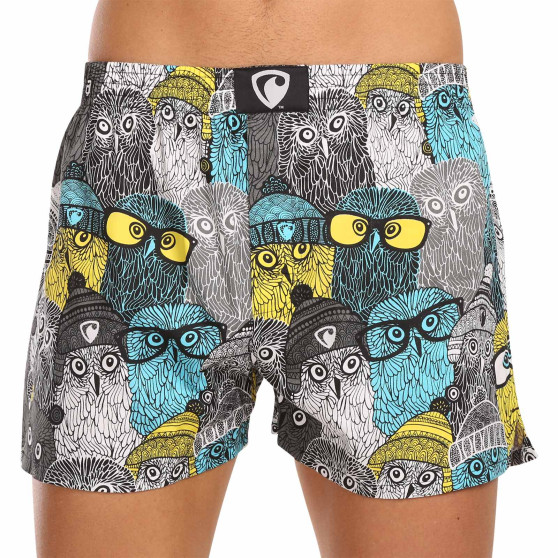 Vyriški šortai Represent exclusive Ali Owls Cool (R3M-BOX-0642)