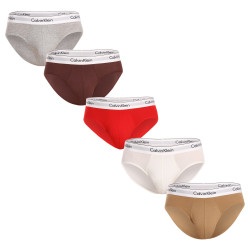 5PACK Vyriškos kelnaitės Calvin Klein multicolour (NB3763A-I31)