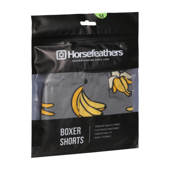 Vyriški šortai Horsefeathers Frazier Bananas (AM166I)