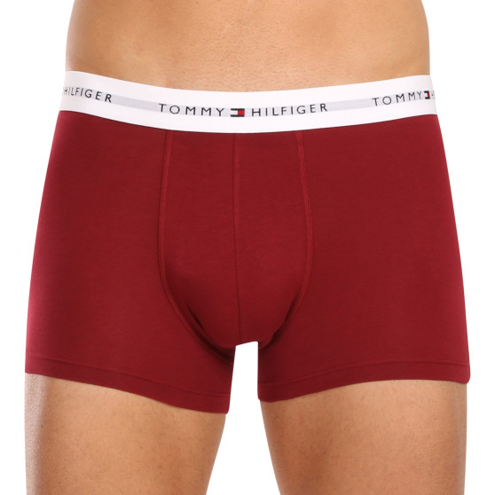 3PACK Vyriški boksininko šortai Tommy Hilfiger daugiaspalviai (UM0UM02761 0SS)