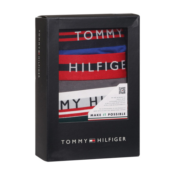 3PACK Vyriški boksininko šortai Tommy Hilfiger daugiaspalviai (UM0UM03007 0UF)