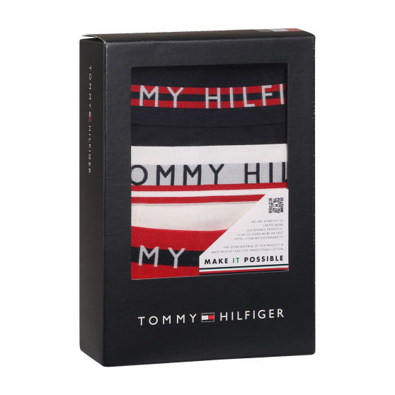 3PACK Vyriški boksininko šortai Tommy Hilfiger daugiaspalviai (UM0UM03007 0X0)