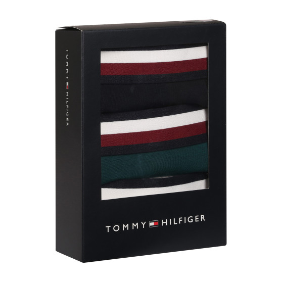 3PACK Vyriški boksininko šortai Tommy Hilfiger daugiaspalviai (UM0UM03035 0T1)