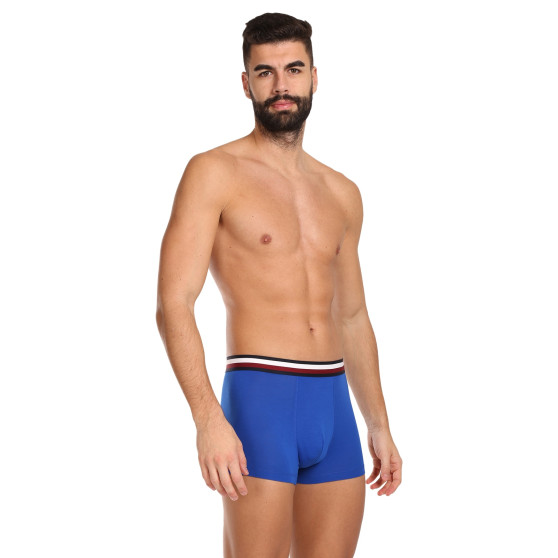 3PACK Vyriški boksininko šortai Tommy Hilfiger daugiaspalviai (UM0UM03035 0UG)