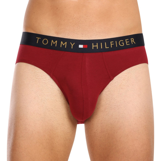 5PACK Vyriškos kelnaitės Tommy Hilfiger multicolour (UM0UM03037 0WJ)