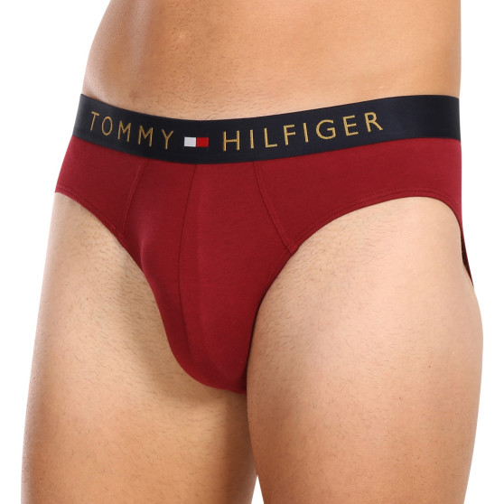 5PACK Vyriškos kelnaitės Tommy Hilfiger multicolour (UM0UM03037 0WJ)