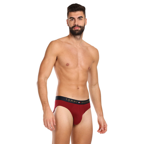 5PACK Vyriškos kelnaitės Tommy Hilfiger multicolour (UM0UM03037 0WJ)