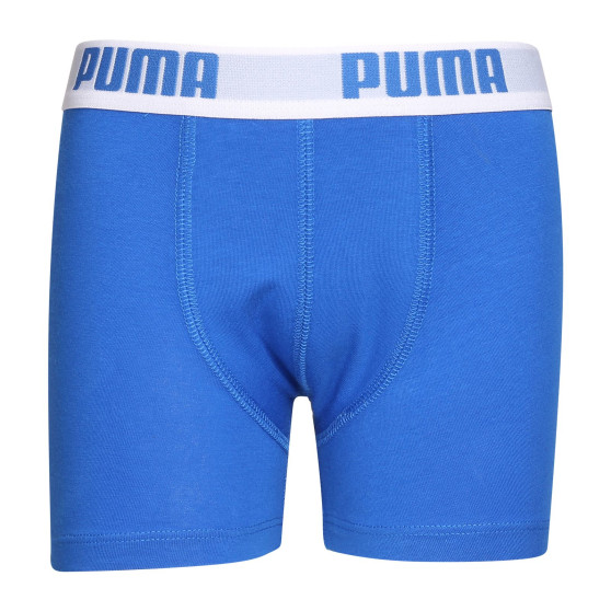 2PACK berniukų boksininkų šortai Puma daugiaspalviai (701219336 417)