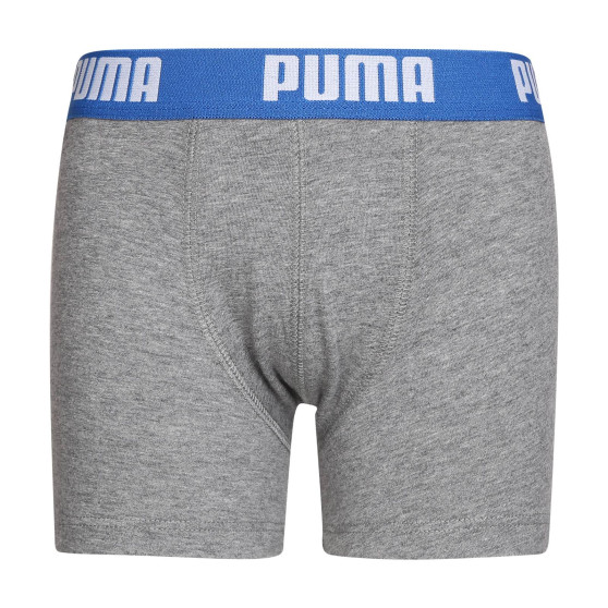 2PACK berniukų boksininkų šortai Puma daugiaspalviai (701219336 417)