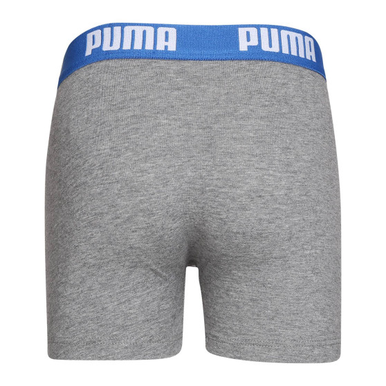 2PACK berniukų boksininkų šortai Puma daugiaspalviai (701219336 417)